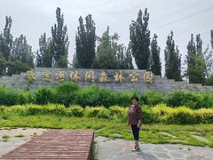 -永定河休闲森林公园