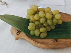 -龟兹KUCINA·新疆菜(前滩L+PLAZA店)