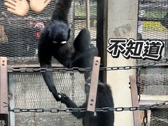 -昆明动物园