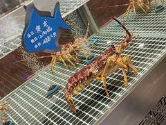 -喜来酌海鲜·饺子(和平一店)