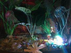 -星宿秘码(鼓浪屿老店)