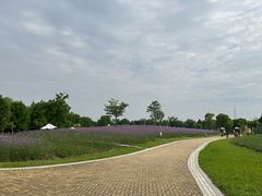 -同里国家湿地公园