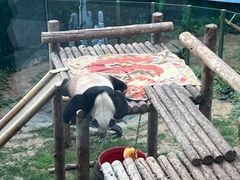 -大连森林动物园