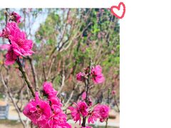 -桃花涧