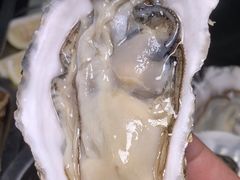 -陈记生蚝烧烤炒菜火锅