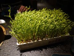 鲜活豌豆苗-湊湊火锅·茶憩(打浦桥日月光店)