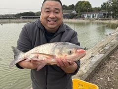 -东湖印象汉寿特色甲鱼钵子菜(渔人码头店)