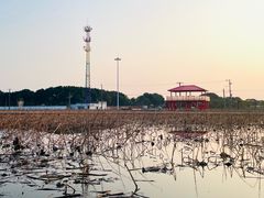 -嘉北郊野公园