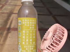 -莞翟蔴茶王(东莞记忆店)