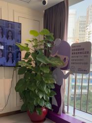 -广州美莱医疗美容医院