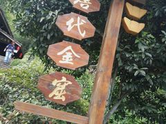 -遂昌金矿国家矿山公园