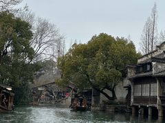 -乌镇西栅景区