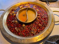 菌菇锅底-哥老官重庆美蛙鱼头(虹口龙之梦店)