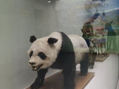 -国家自然博物馆