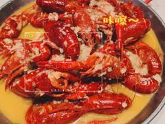 -杨氏青龙虾·羊蝎子(托乐嘉店)