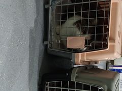 -心仪动物医院·牙专科·肿瘤·心脏科(西客站院)