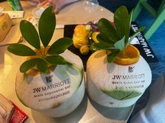 -三亚绿发山海天JW万豪酒店