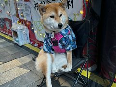-龙湖重庆时代天街