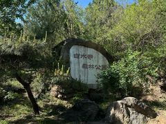 -白水寺森林公园