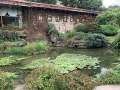 -中国茶叶博物馆(双峰馆区)