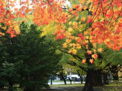 -北海道厅旧本厅舍(旧本庁舎)