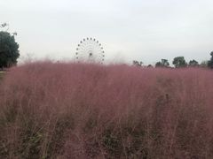 -金卉庄园