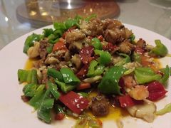 -煲来饱去冷水鱼