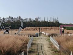 -嘉北郊野公园