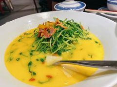 上汤豆苗-禄鼎记·多口味酸菜鱼(侨鑫店)