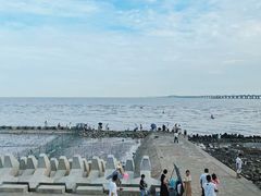 -南汇新城海滩