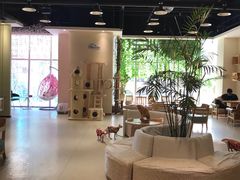 大堂-藏猫猫咖啡主题馆(中央大道店)