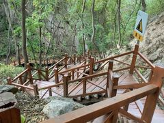 -大岭沟猕猴桃谷风景区