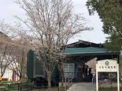 -新天地活力PARK