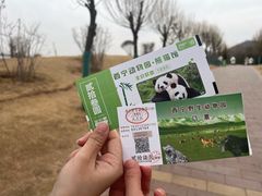 -青藏高原野生动物园