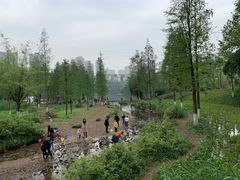 -重庆彩云湖湿地公园