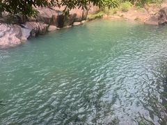 -广州白江湖森林公园