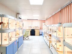 -翊宠yipet猫狗购宠庄园犬舍•猫舍