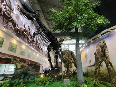 -嘉荫恐龙国家地质公园