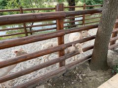 -苏州太湖西山岛开心农场