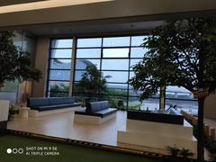 -上海浦东国际机场-T2航站楼