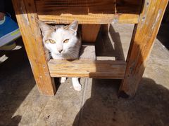 -乡绅本色白家厨坊