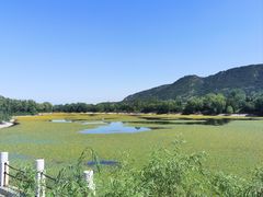 -函谷关历史文化旅游区