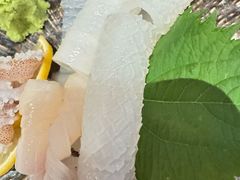 -九州酒场ひこぞう(1号店)