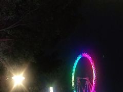 -幻彩摩天轮
