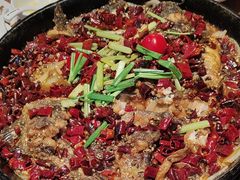 -老板恋上鱼(恒隆广场店)