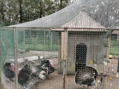 -前小桔亲子创意农场·草莓采摘·露营烧烤