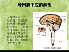 -陈府大宅门成都火锅·手切鲜肉(太原街店)