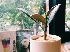 -旧雨咖啡·CoffeeFORU(黄村奥体店)