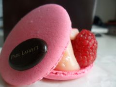覆盆子macaron-Paul Lafayet(K11 Art Mall店)