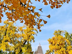 -北京石刻艺术博物馆(五塔寺)